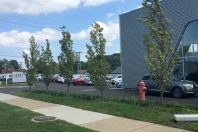 Sunnyside Audi Middleburg Hts