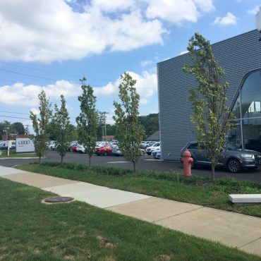 Sunnyside Audi Middleburg Hts