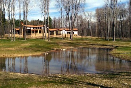 Dellagnese Woodland Pond